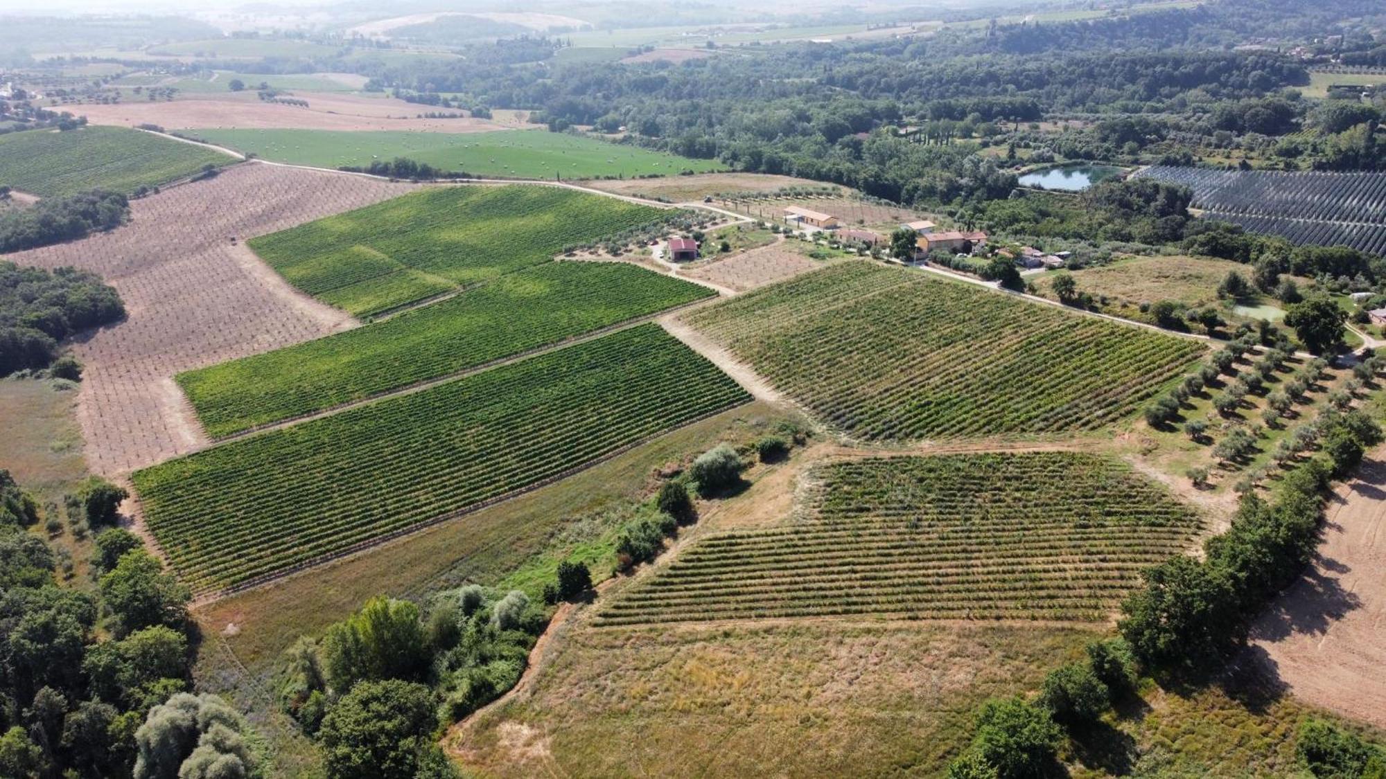 Agriturismo Podere Casa Al Vento Montepulciano Stazione Exteriér fotografie