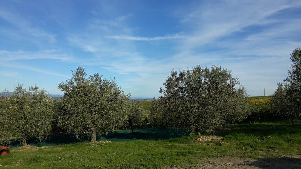 Agriturismo Podere Casa Al Vento Montepulciano Stazione Exteriér fotografie