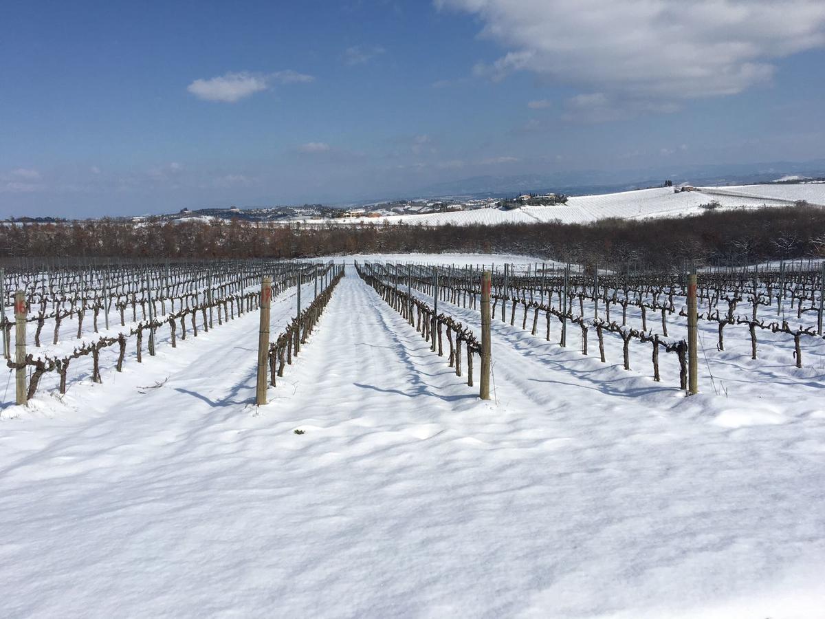 Agriturismo Podere Casa Al Vento Montepulciano Stazione Exteriér fotografie