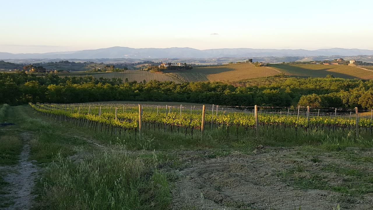 Agriturismo Podere Casa Al Vento Montepulciano Stazione Exteriér fotografie