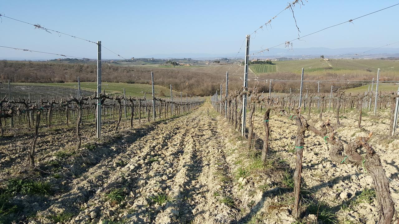 Agriturismo Podere Casa Al Vento Montepulciano Stazione Exteriér fotografie
